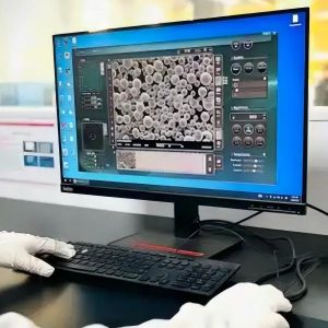 Physicochemical Testing