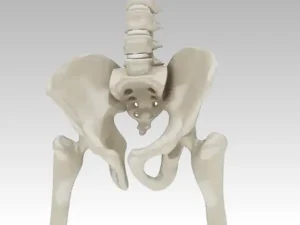 Forgecise Prosthetics & Orthotics